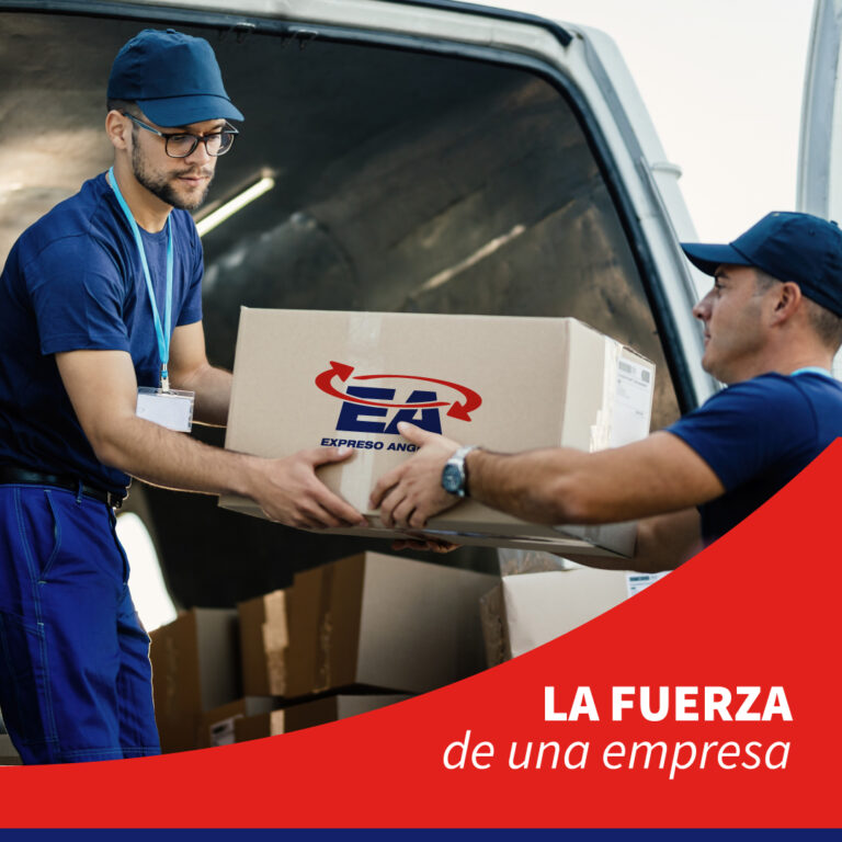 ecommerce, expreso angeleri, mendoza, san luis, san juan, logistica, logistica cuyo, envíos